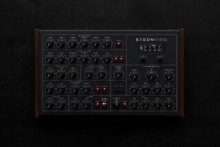 Syntetisaattori Erica Synths Steampipe Syntetisaattori - 5