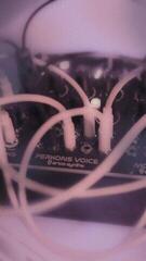 Moduláris rendszer Erica Synths Perkons Voice Moduláris rendszer - 3