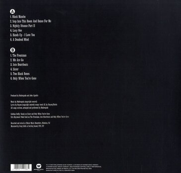 Disc de vinil Madrugada The Nightly Disease (Reissue) (LP) - 3