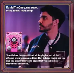 Студио софтуер Plug-In ефект Safari Audio LadyBug Reverb (Дигитален продукт) - 2