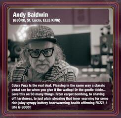 Programski Plug-In efekti Safari Audio Cobra Fuzz (Digitalni proizvod) - 2