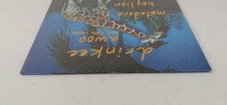 Δίσκος LP Sofi Tukker - Soft Animals (EP) (Αποσυσκευασμένο μόνο) - 5