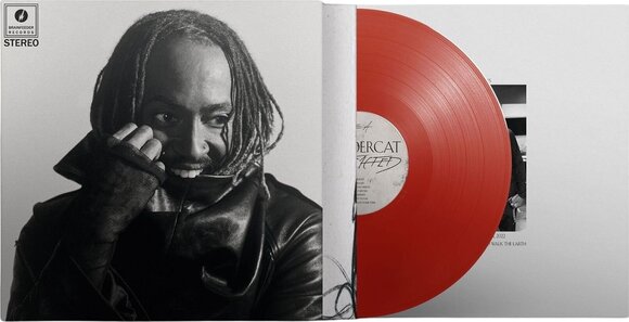 LP platňa Thundercat - Distracted (Red Coloured) (LP) - 2