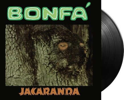 Disc de vinil Genesis - Live In Leicester And Manchester 1973 (LP) - 2