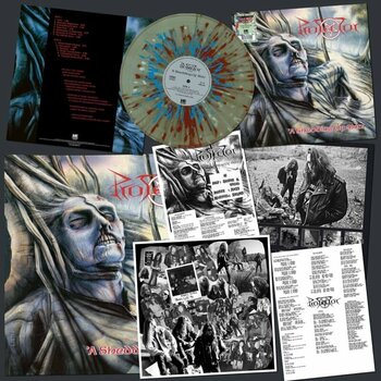 LP deska Protector - A Shedding Of Skin (Limited Edition) (Coloured) (LP) - 2