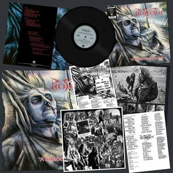 LP deska Protector - A Shedding Of Skin (Reissue) (LP) - 2