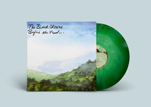 Disco in vinile The Black Crowes - Before The Frost... Until The Freeze (Limited Edition) (Green Swirl Coloured) (2 LP) - 2