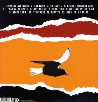 Vinyl Record The Bouncing Souls - Simplicity (Limited Edition) (LP) - 2