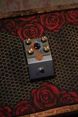 Guitar Effect Beetronics Pollinator Hazee Delay Guitar Effect - 6