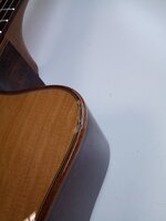 LAG Tramontane 118 T118DCE Natural Dreadnought z elektroniką