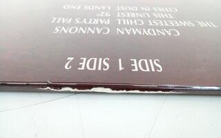 Schallplatte Siouxsie & The Banshees - Tinderbox (Remastered) (LP) (Nur ausgepackt) - 5