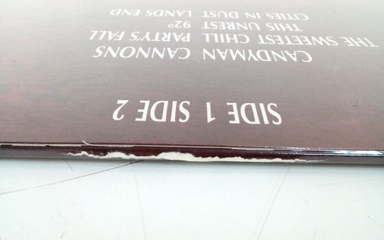 LP ploča Siouxsie & The Banshees - Tinderbox (Remastered) (LP) (Samo otvarano) - 6