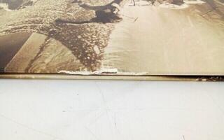 Грамофонна плоча Pearl Jam - MTV Unplugged (LP) (Само разопакован) - 2