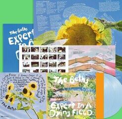Disc de vinil The Beths - Expert In A Dying Field (Head In The Clouds Blue Eco-Mix Coloured) (LP) - 1
