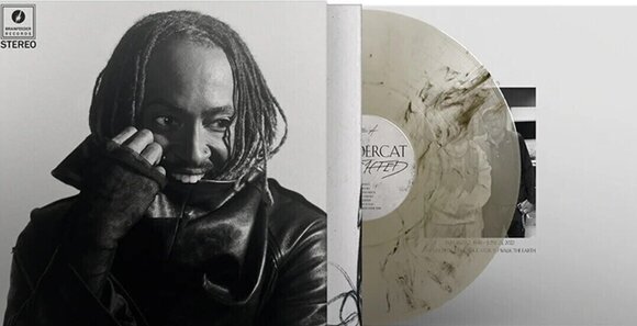 LP ploča Thundercat - Distracted (Indie Exclusive) (Black Smoke Effect Coloured) (LP) - 2