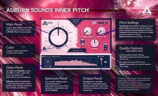 Oprogramowanie studyjne Plug-In efekt Auburn Sounds Inner Pitch (Produkt cyfrowy) - 1