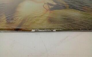 Hanglemez Deftones - Saturday Night Wrist (LP) (Csak kicsomagolt) - 2