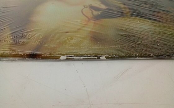 Schallplatte Deftones - Saturday Night Wrist (LP) (Nur ausgepackt) - 3