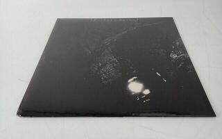 Schallplatte Cocteau Twins - The Pink Opaque (LP) (Nur ausgepackt) - 1