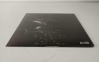 Schallplatte Cocteau Twins - The Pink Opaque (LP) (Nur ausgepackt) - 2