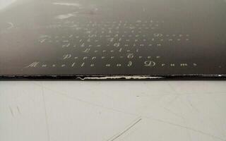 Schallplatte Cocteau Twins - The Pink Opaque (LP) (Nur ausgepackt) - 3