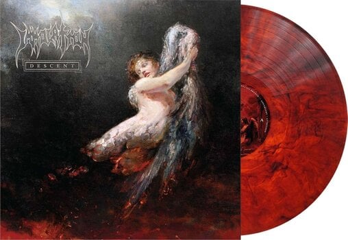 LP ploča Immolation - Descent (Limited Edition) (Transparent Red/Black Marble Coloured) (LP) - 2