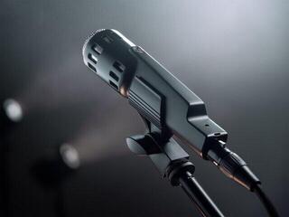 Dynamisches Instrumentenmikrofon Warm Audio Retro 64 Dynamisches Instrumentenmikrofon - 7