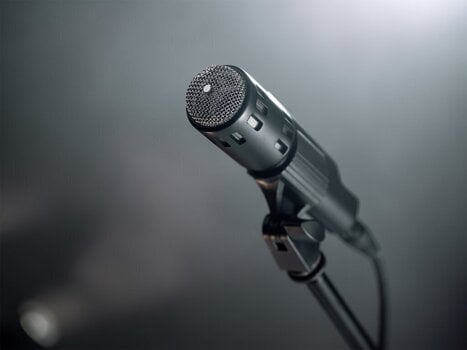 Dynamische instrumentmicrofoon Warm Audio Retro 64 Dynamische instrumentmicrofoon - 9