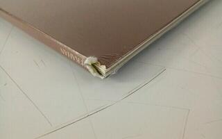 Hanglemez Noah Kahan - Stick Season (Black Ice Coloured) (We'll All Be Here Forever) (3 LP) (Csak kicsomagolt) - 4