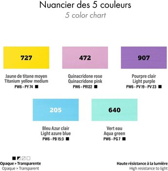 Akrilna boja Darwi Dfy Сет акрилних боја 5 x 75 ml - 5