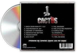 Music CD Cactus - Temple Of Blues 2 - All-Stars (CD) - 2