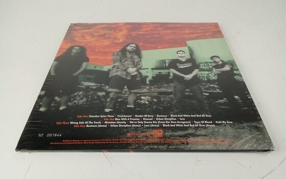 Płyta winylowa Biohazard - Urban Discipline (30th Anniversary) (2 LP) (Tylko rozpakowane) - 4