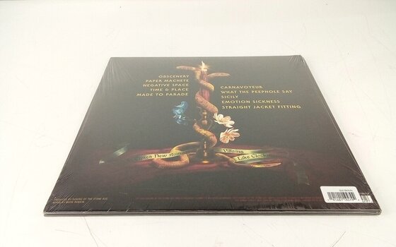 Vinyl Record Queens Of The Stone Age - In Times New Roman... (Silver Coloured) (2 LP) (Just unboxed) - 5