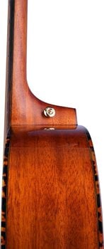 Dreadnought Guitar Bromo BAN1V Natural Dreadnought Guitar - 14