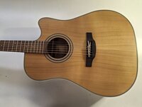 Takamine GD20CE Natural Satin elektroakustisk gitarr