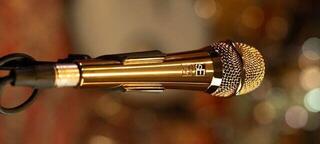 Vocal Dynamic Microphone sE Electronics V7 Gold 25AE Vocal Dynamic Microphone - 2