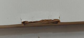 Дигитално Stage пиано Korg B2+SP Дигитално Stage пиано White (Почти нов) - 3