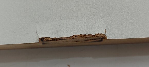 Дигитално Stage пиано Korg B2+SP Дигитално Stage пиано White (Почти нов) - 4