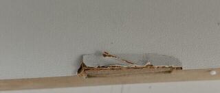 Дигитално Stage пиано Korg B2+SP Дигитално Stage пиано White (Почти нов) - 4