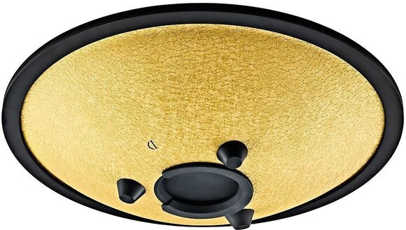 Tongue Drum Meinl Compact Steel 10" D Minor 432Hz Gold Tongue Drum - 2