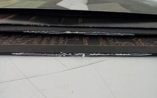 Disque vinyle Noah Kahan - Stick Season (2 LP) (Juste déballé) - 3