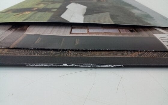 Disque vinyle Noah Kahan - Stick Season (2 LP) (Juste déballé) - 5