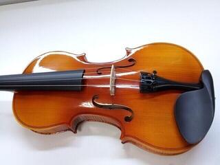 Акустична цигулка Stagg VN-L 4/4 Natural Акустична цигулка (Почти нов) - 1