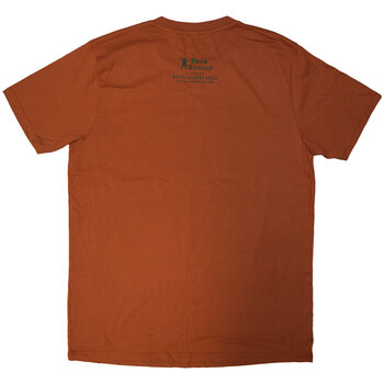 T-shirt David Gilmour Luck & Strange London 2 (Back Print & Ex-Tour) Orange M T-shirt - 2