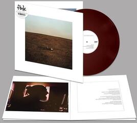 LP ploča Fink - The City Is Coming To Erase It All (Winter Gorse Coloured) (LP) - 1