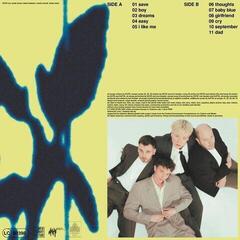 Vinyl Record Dote - Feelings (LP) - 1