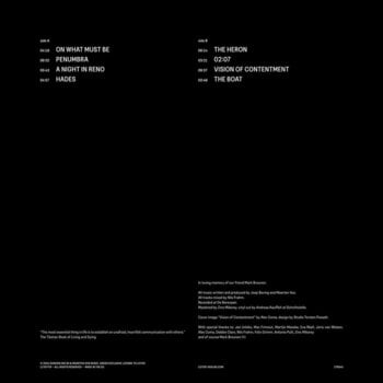 Disco de vinil Joep Beving & Maarten Vos - Vision of Contentment (Limited Edition) (LP) - 2