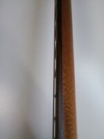 LAG Tramontane 118 T118DCE Natural Електроакустична гітара Dreadnought