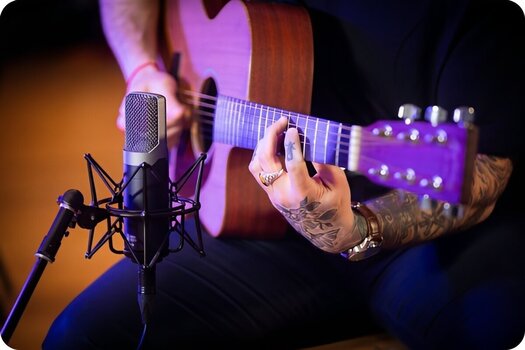 Kondenzátorový štúdiový mikrofón Slate Digital ML-1A Kondenzátorový štúdiový mikrofón - 5