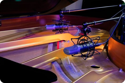 Kondenzátorový štúdiový mikrofón Slate Digital ML-1A Kondenzátorový štúdiový mikrofón - 8